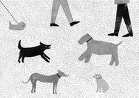 Emily Rand: A Dog Day (Second - Hand) - Tales for Tadpoles