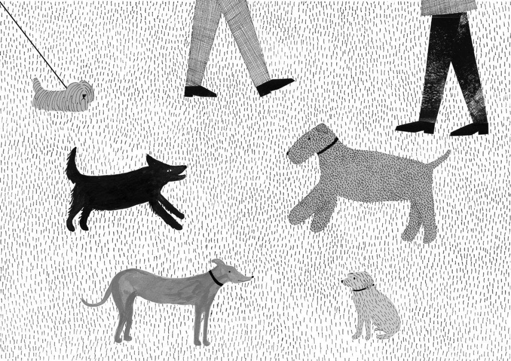 Emily Rand: A Dog Day (Second - Hand) - Tales for Tadpoles