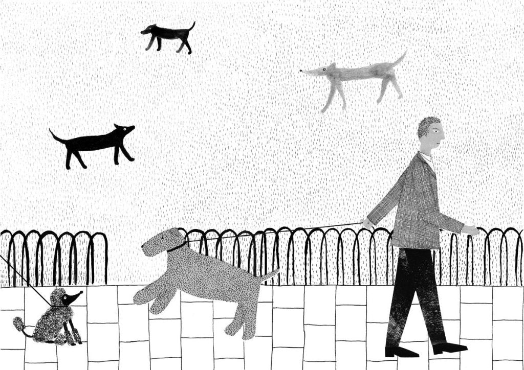 Emily Rand: A Dog Day (Second - Hand) - Tales for Tadpoles