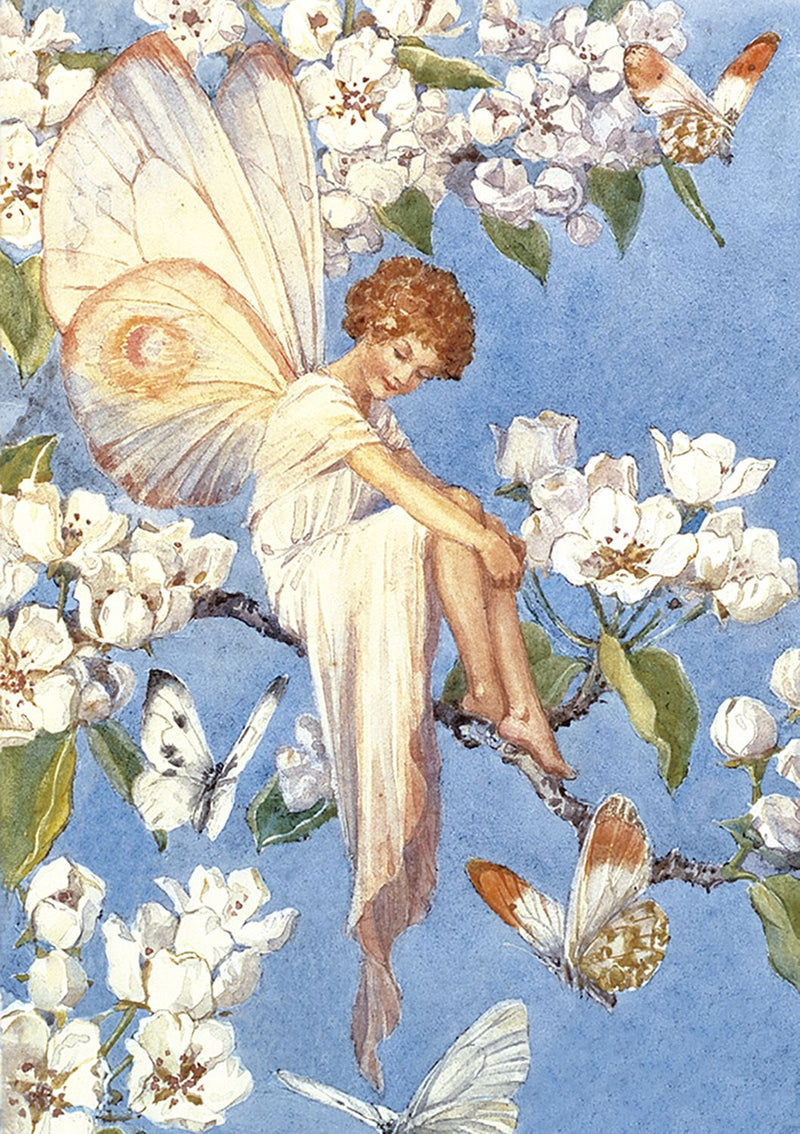 Greeting Card: Margaret Tarrant - Fairy Land with Blossoms