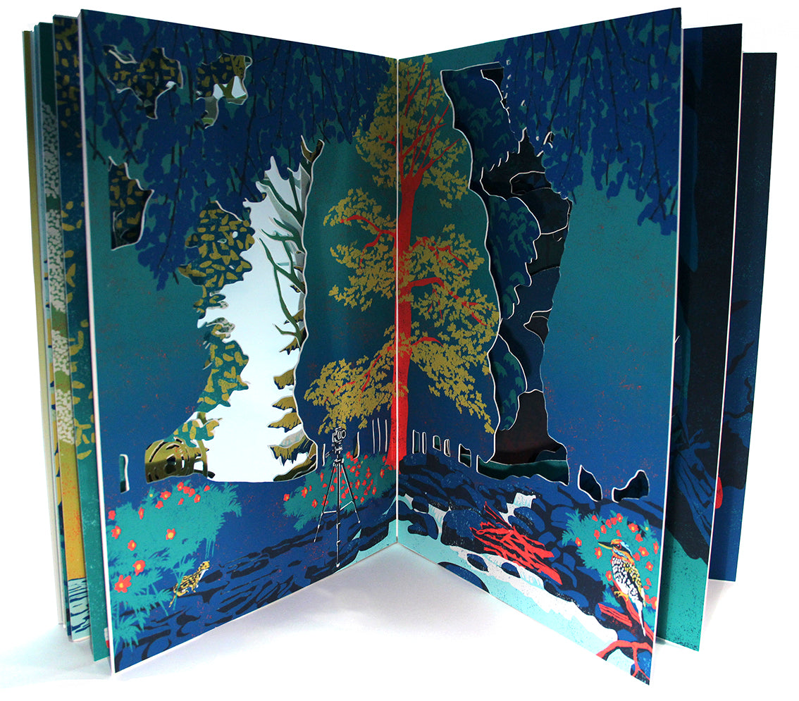 Rachel Burlington: Into the Forest