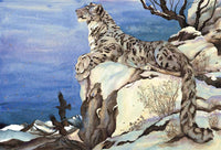 Jackie Morris: The Snow Leopard - Tales for Tadpoles