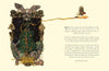 Jason Jameson: The Robin and the Fir Tree - Tales for Tadpoles