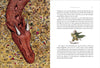J.R.R. Tolkien: The Hobbit, illustrated by Jemima Catlin - Tales for Tadpoles