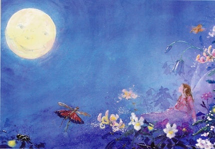 Little Fairy Can't Sleep by Daniela Drescher