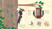 Libby Walden: Bird House - A Lift - the - Flap Book of Discovery, illustrated by Clover Robin - Tales for Tadpoles