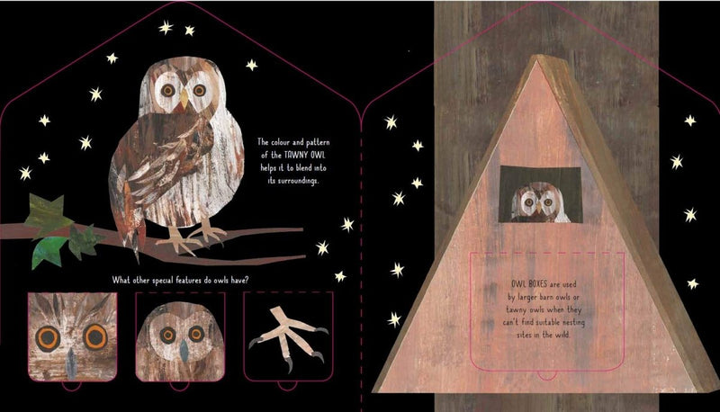 Libby Walden: Bird House - A Lift - the - Flap Book of Discovery, illustrated by Clover Robin - Tales for Tadpoles