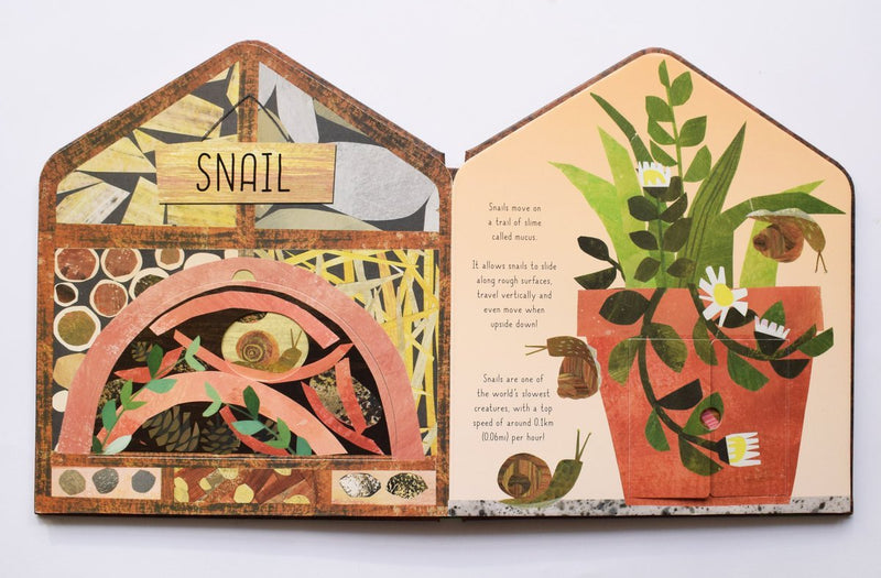 Libby Walden: Bug Hotel - A Lift - the - Flap Book of Discovery, illustrated by Clover Robin - Tales for Tadpoles