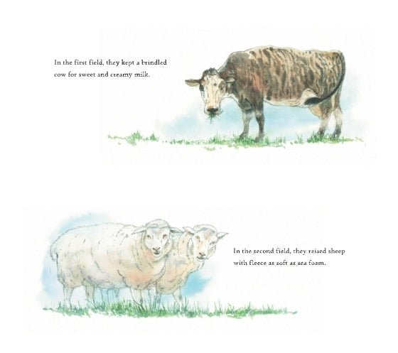 Marianne McShane: The Fog Catcher's Daughter, illustrated by Alan Marks - Tales for Tadpoles