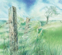 Marianne McShane: The Fog Catcher's Daughter, illustrated by Alan Marks - Tales for Tadpoles