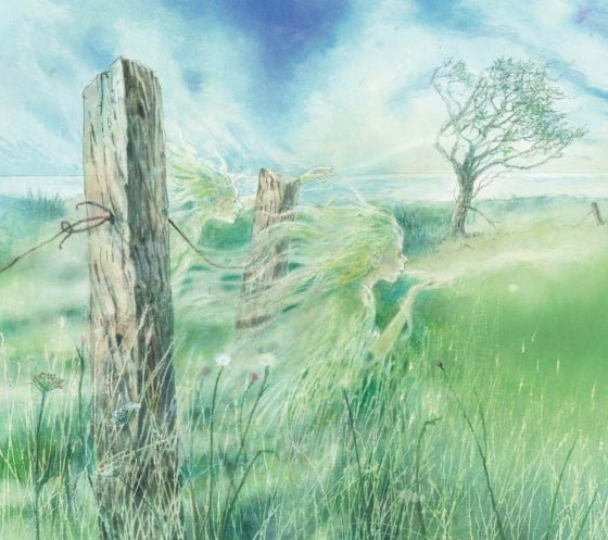 Marianne McShane: The Fog Catcher's Daughter, illustrated by Alan Marks - Tales for Tadpoles