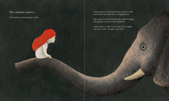 Nasla's Dream by Cecile Roumiguiere, illustrated by Simone Rea