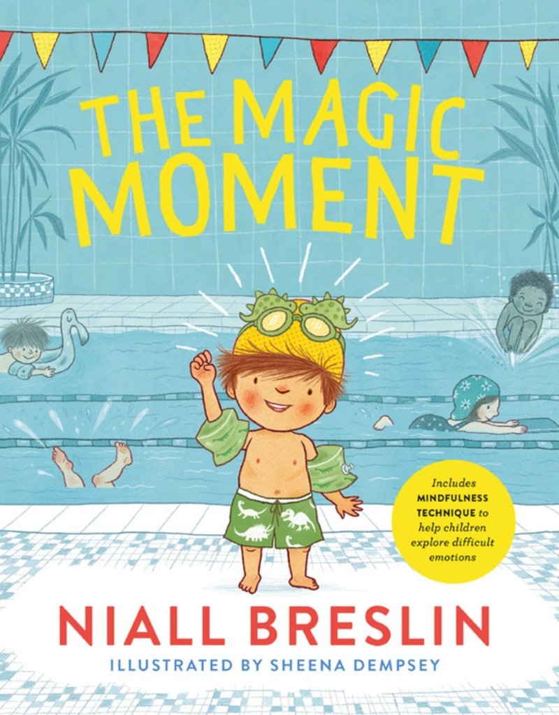 Niall Breslin: The Magic Moment, Illustrated by Sheena Dempsey - Tales for Tadpoles