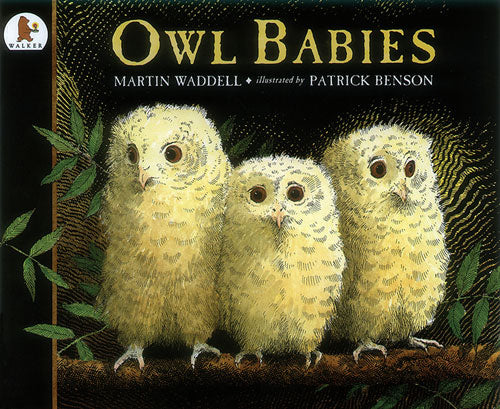 Owl Babies by Martin Waddell, illustrated by Patrick Benson.