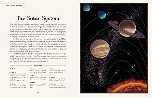 Planetarium (Junior Edition) by Raman Prinja, illustrated by Chris Wormell