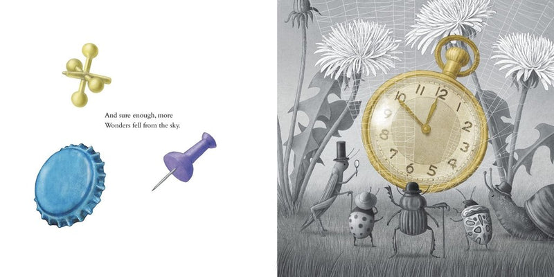 The Fan Brothers: It Fell From the Sky - Tales for Tadpoles