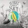 The Fan Brothers: It Fell From the Sky - Tales for Tadpoles