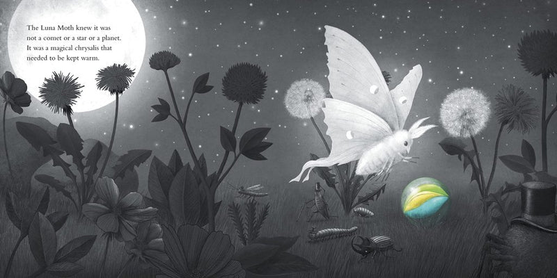 The Fan Brothers: It Fell From the Sky - Tales for Tadpoles