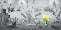 The Fan Brothers: It Fell From the Sky - Tales for Tadpoles