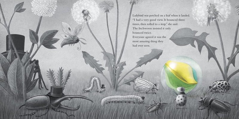 The Fan Brothers: It Fell From the Sky - Tales for Tadpoles